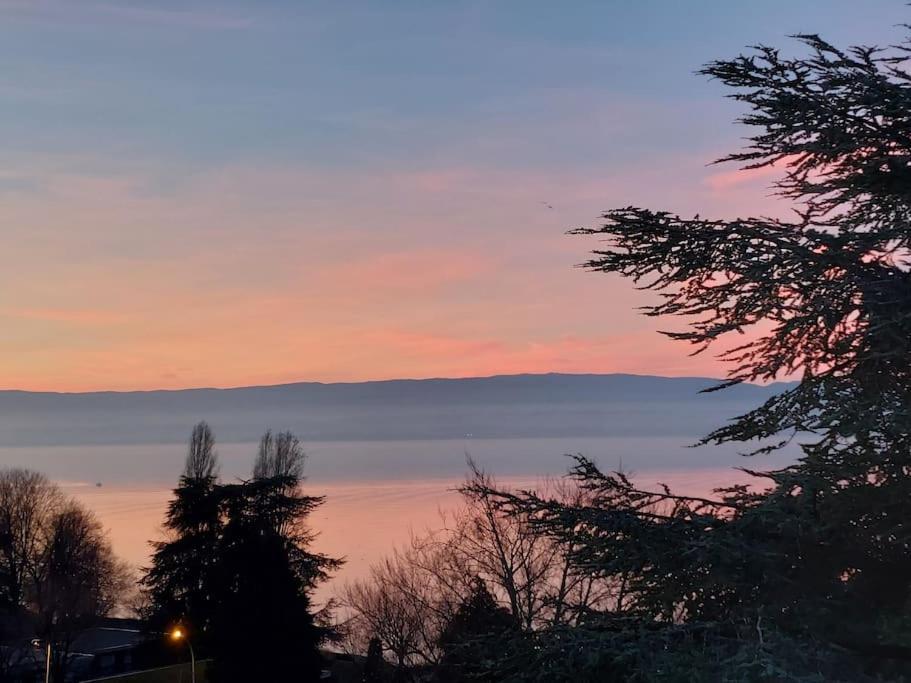 Le Mirabeau Vue * Évian-les-Bains