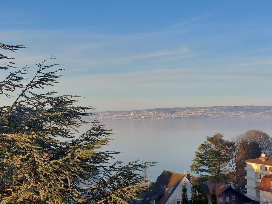 Apartment Le Mirabeau Vue