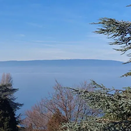 Le Mirabeau Vue Lac Évian-les-Bains Exterior foto