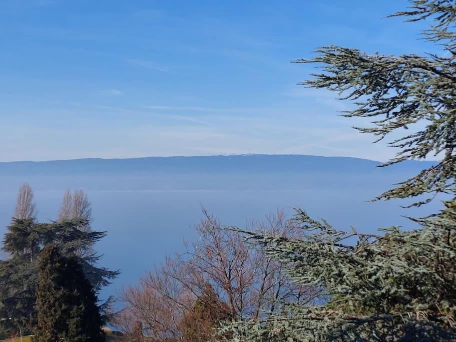 Le Mirabeau Vue